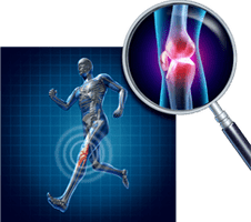 The knee joint is joint joint